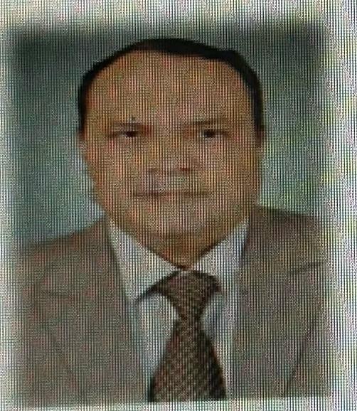 Mohamed Hussein Kamel Alsayed Mossoua